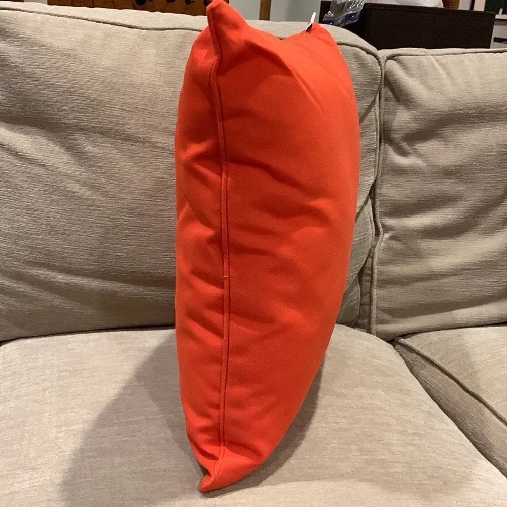 Square Orange Outdoor Indoor Accent Throw Pillow 18” Square